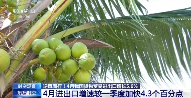 中国外贸进出口表现亮眼背后的底气j9九游会网址是什么关税战下(图8)